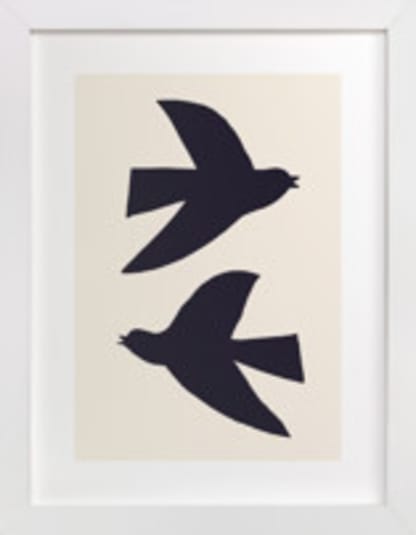 Birds