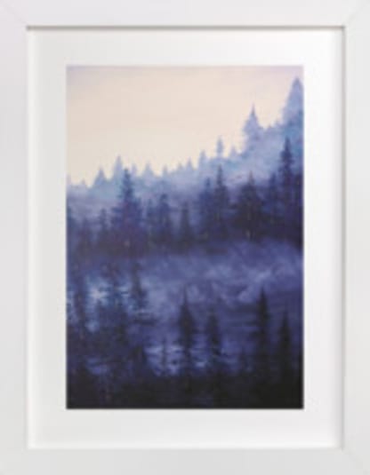 misty forest