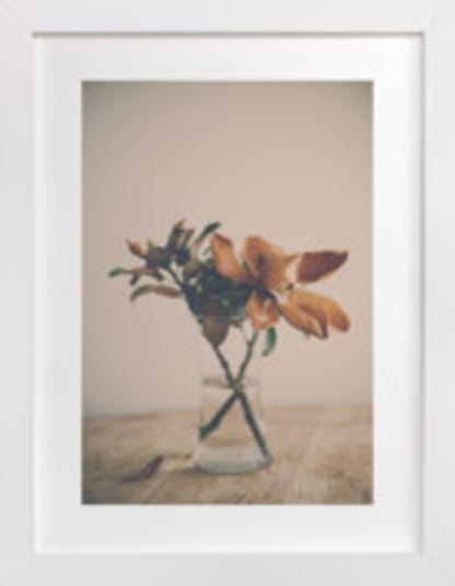 Magnolia