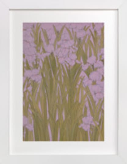 Iris Garden