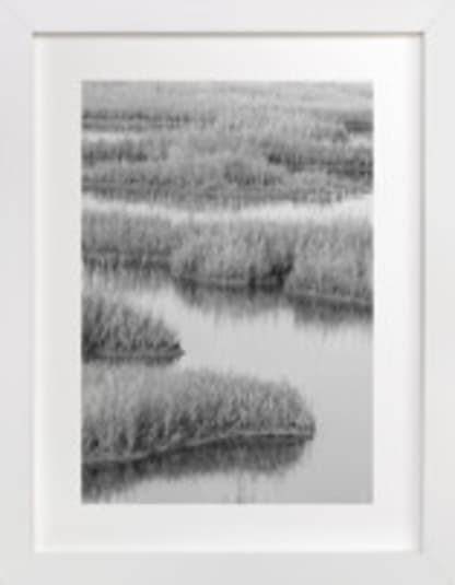 Marshlands 2