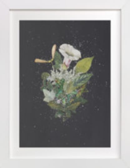 Night Mint Blossom