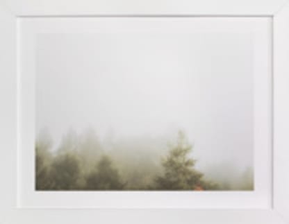 Foggy Autumn Forest Morning