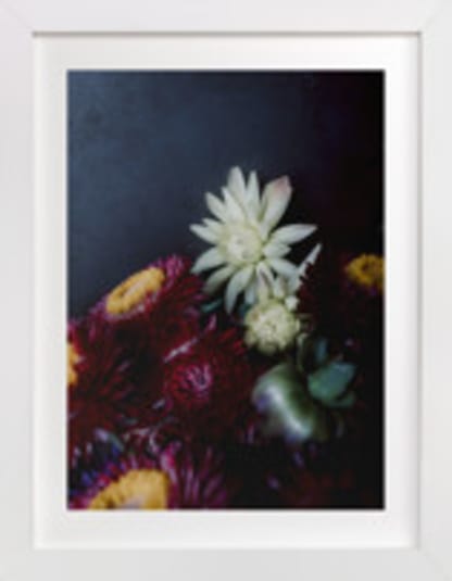 Dark Fall Flowers