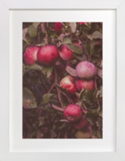 Apple Season