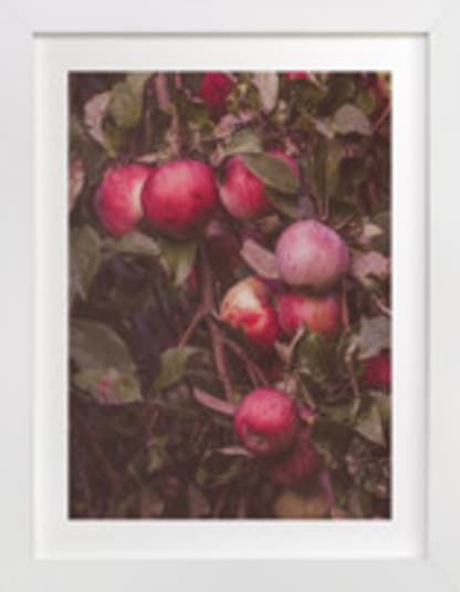 Apple Season