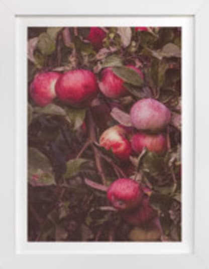 Apple Season
