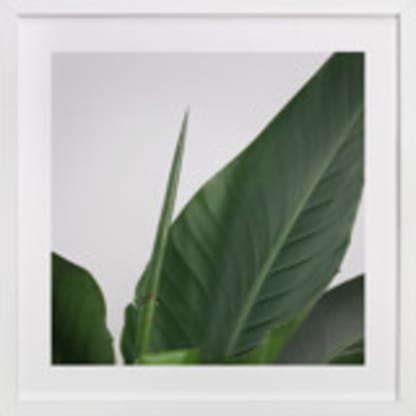 Lush - Green