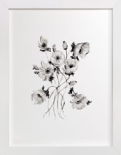 Greyscale Poppies