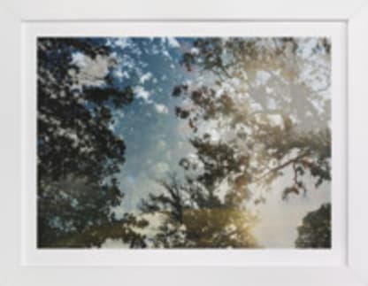 Double The Oaks