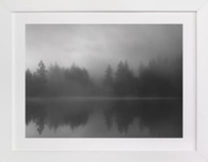 Fog Reflection