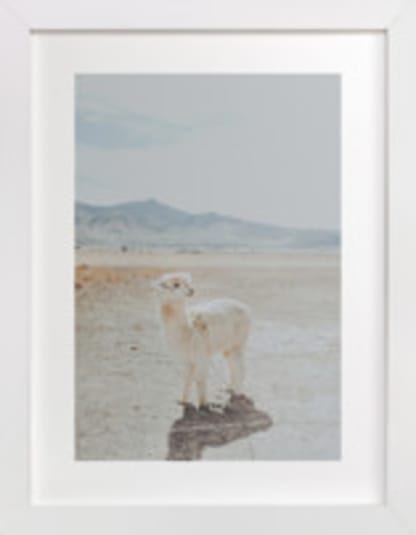 Llama Chill
