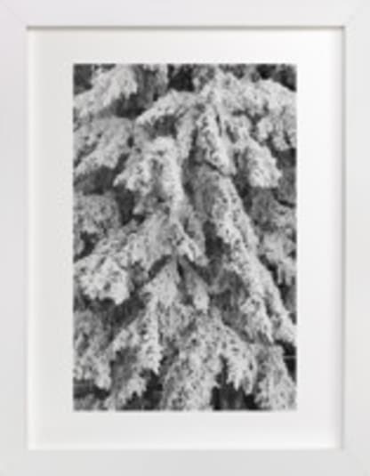 Frost 3