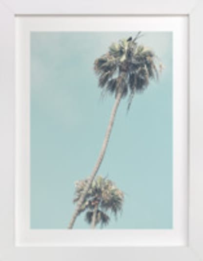 Palms for Days