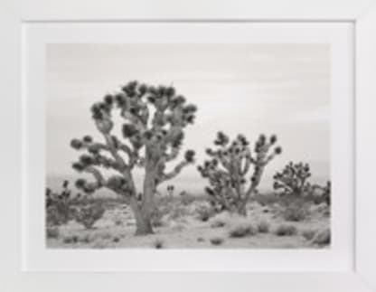 Joshua Tree