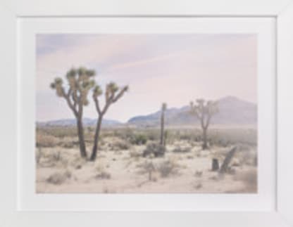 Joshua Tree No. 10