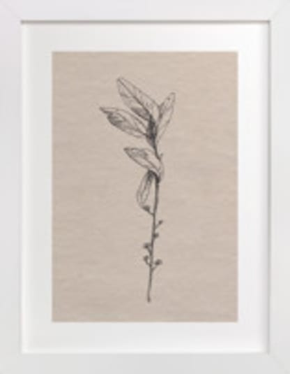 Dancing Branches