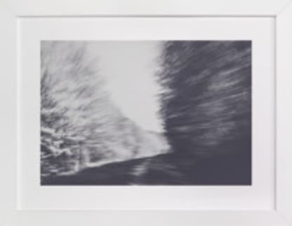Tree line