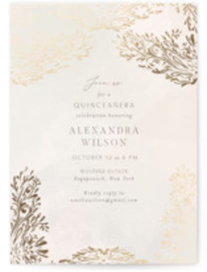 Quinceañera Elegance