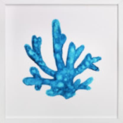 Blue Caribbean Coral