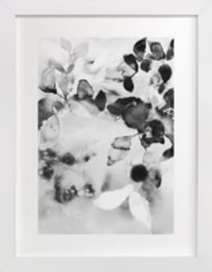 Flora in B+W