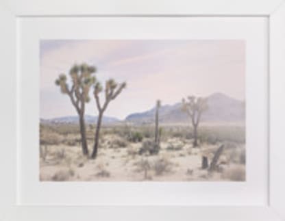 Joshua Tree No. 10