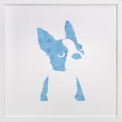 baby boston