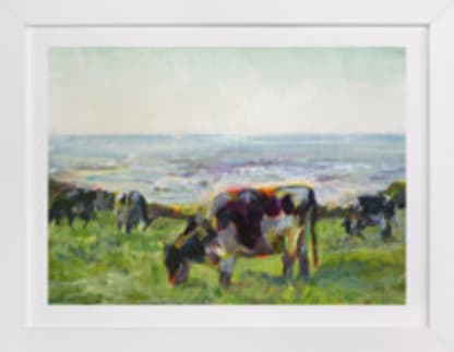 Marin Cows