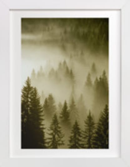 Mystical Forest 