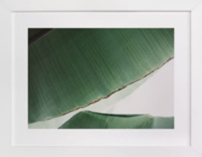 leaf & light 1