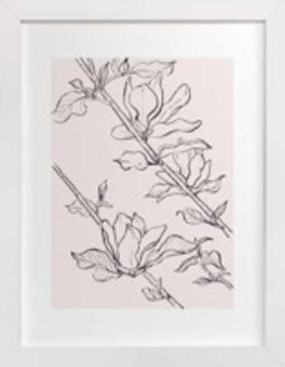 magnolia study