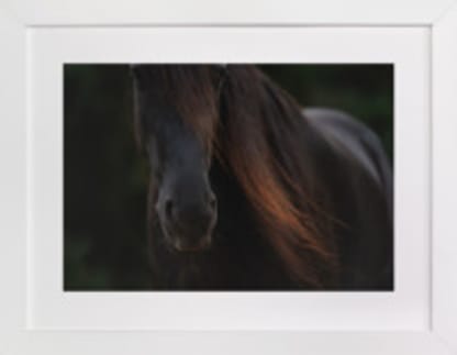 Rocinante