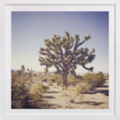 Joshua Tree