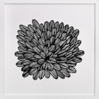 eccentric leaves