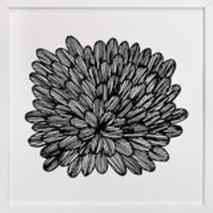 eccentric leaves