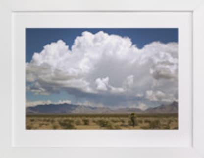 desert drive by