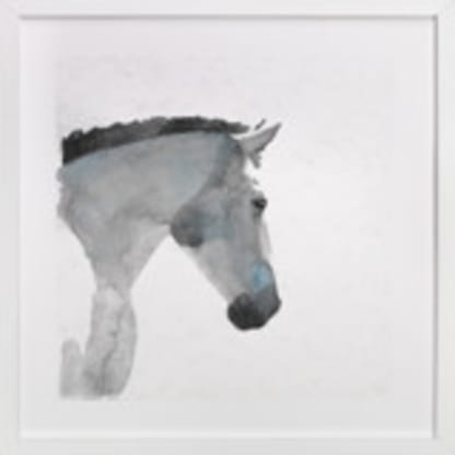 White Stallion in Profile