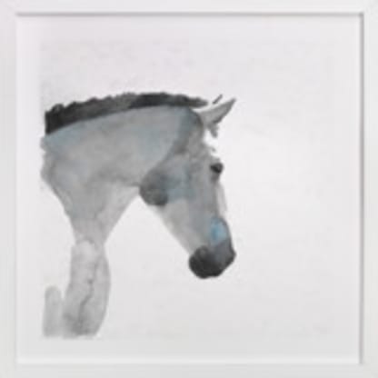 White Stallion in Profile