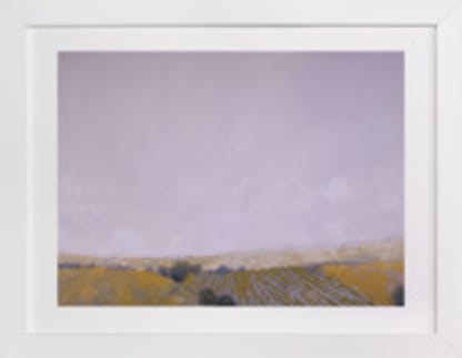 Patchwork Fields