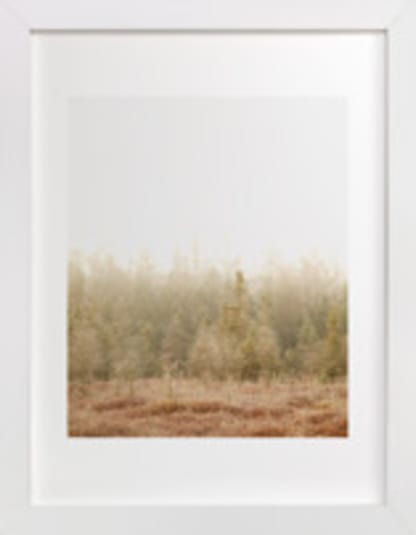 Blushing Bog