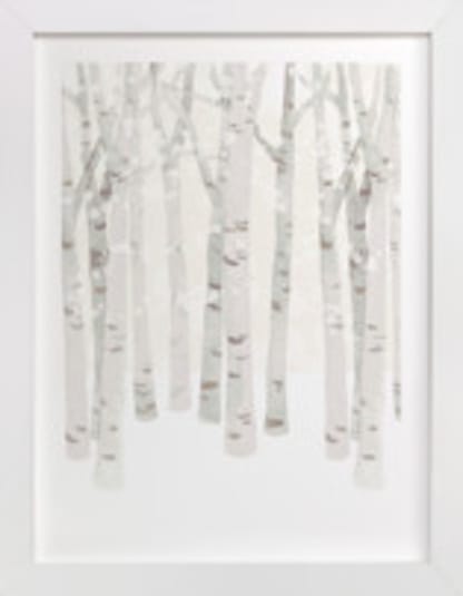 Birch Woods in Winter