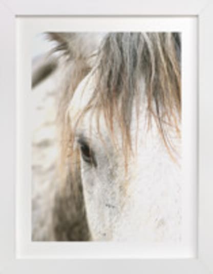 Wild Horse Eye