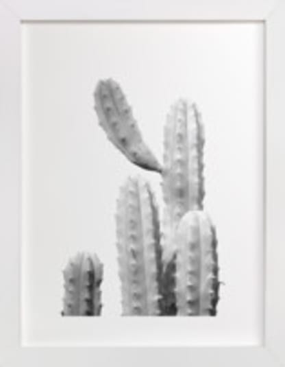 Moorten Cactus Study 1