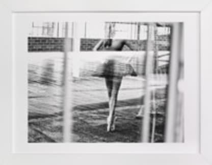 Musing of Synchronicity