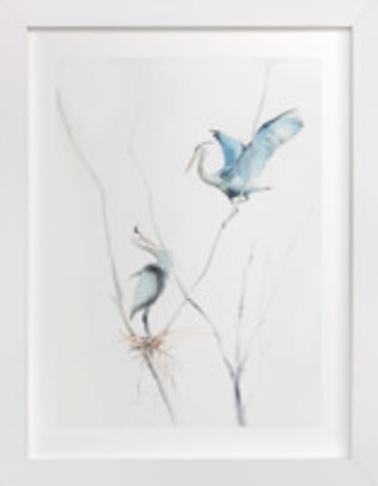 heron's nest