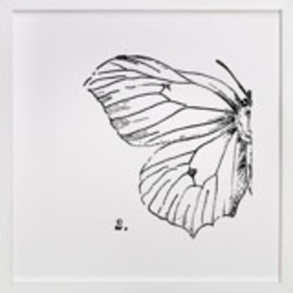 Moth No. 2