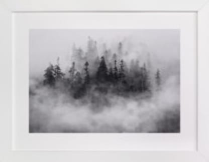 Lost in the Fog