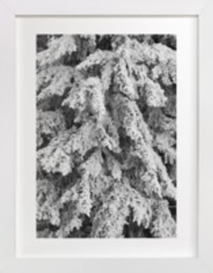 Frost 3