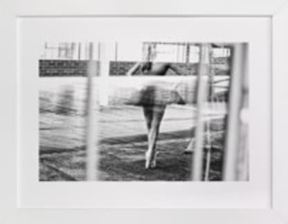 Musing of Synchronicity