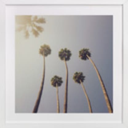 Sunny Palm Trees